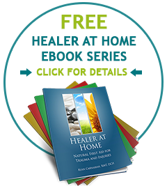 Free Healer at Home eBook